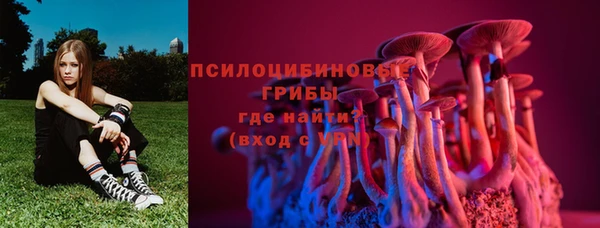гидра Арсеньев
