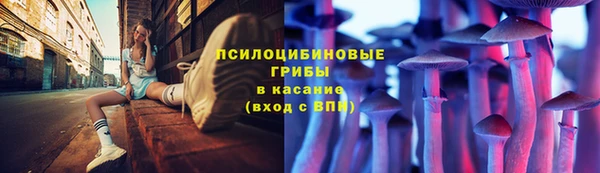jwh Саяногорск
