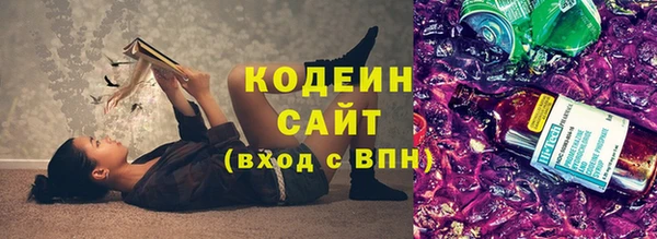 гидра Арсеньев
