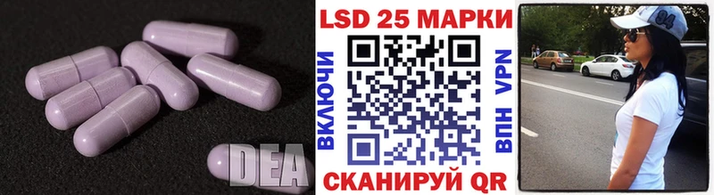 LSD-25 экстази ecstasy  где купить наркоту  Новозыбков 