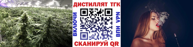 купить закладку  mega зеркало  ТГК жижа  Новозыбков 