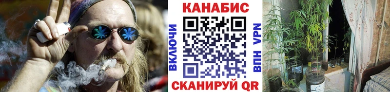 МАРИХУАНА SATIVA & INDICA  Новозыбков 